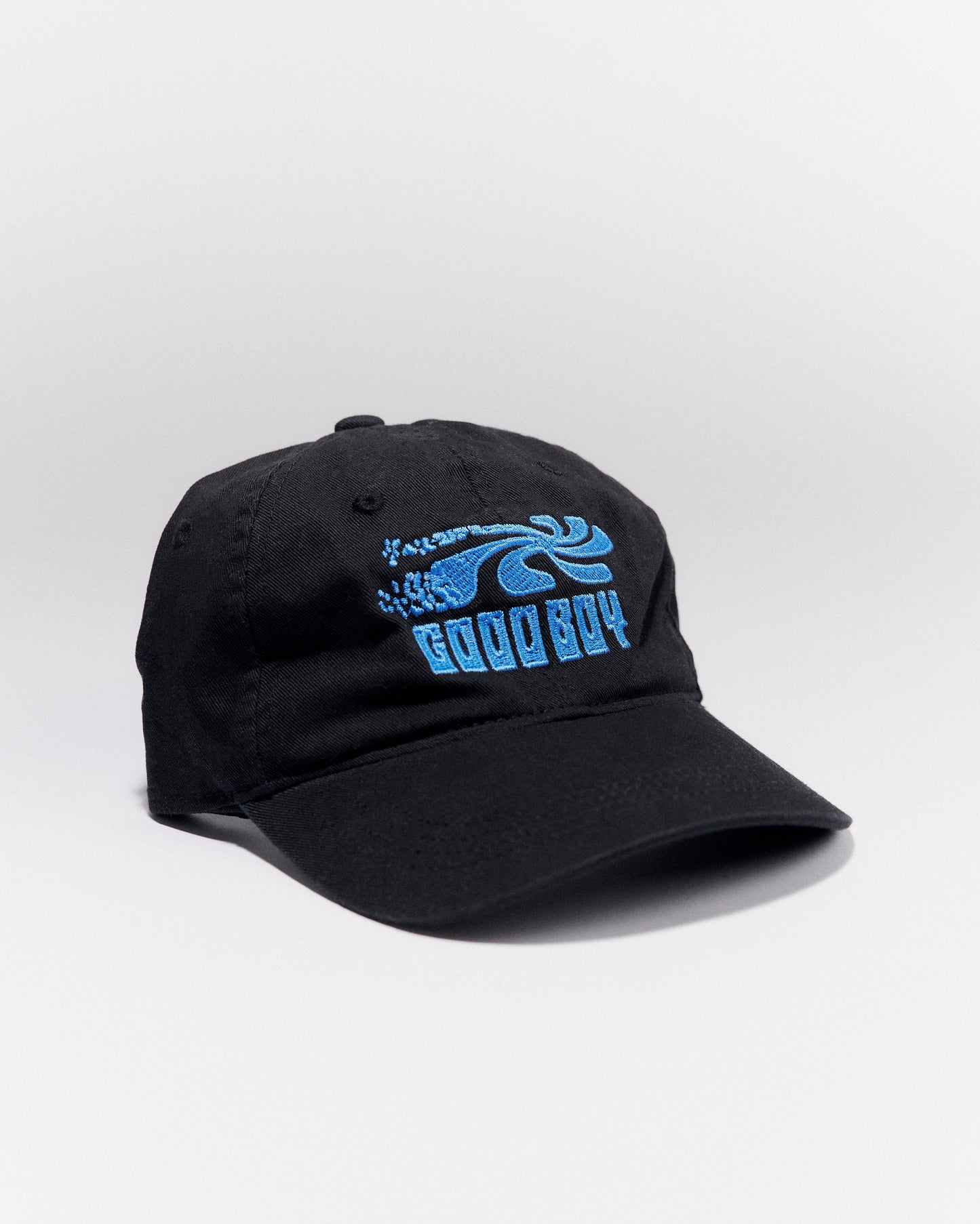 Good Boy Swirl Dad Hat in Black/Blue 🌀