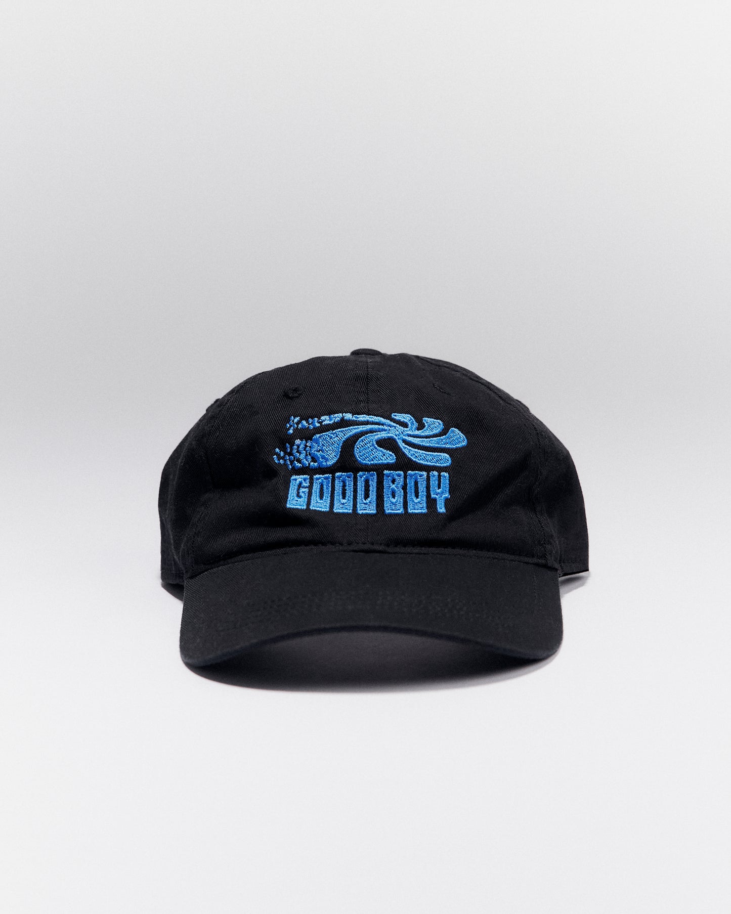 Good Boy Swirl Dad Hat in Black/Blue 🌀